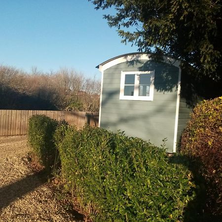 Yew Tree View Luxury Shepherd'S Hut Sturminster Newton Eksteriør billede